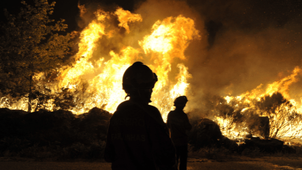 proteger dos incêndios